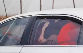 Apariţie bizară pe o autostradă din China. O vacă a fost zărită pe bancheta unei maşini