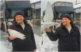 Momentul incredibil în care un porumbel alb aterizează pe mâna unui preot care îi ajuta pe ucraineni să fugă din Harkov