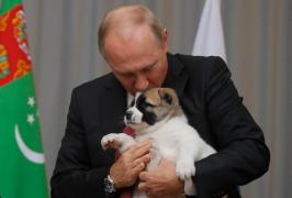 "Superfanii" lui Putin au o singură misiune: Să-l prezinte pe liderului de la Kremlin într-o lumină pozitivă, pe Facebook