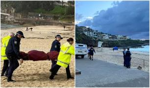 Cadavrul unei femei, găsit plutind în mare