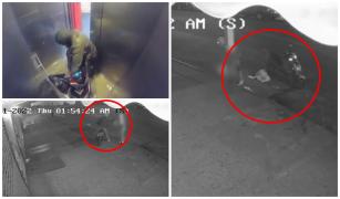 Femeie agresată sexual, în mijlocul străzii, de un motocilcist.