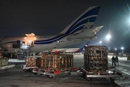 Rusia avertizează SUA și aliații să înceteze înarmarea ”iresponsabilă” Ucrainei: Vor exista ''consecinţe imprevizibile''