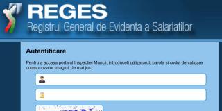 Românii vor putea să îşi verifice singuri în REVISAL vechimea şi dacă le sunt plătite contribuţiile