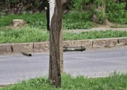 Explozii la Ministerul Securităţii din Transnistria. Asupra clădirii s-ar fi tras cu un lansator de grenade