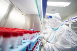 China a detectat primul caz de gripă aviară H3N8 la om. Cazurile de transmitere între oameni sunt extrem de rare