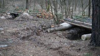 "La mine şi câinele a plâns. Totul ardea. Bombardau şi împuşcau”. Ce au lăsat ruşii în pădurea de lângă Kiev unde au plănuit atacurile