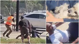 Tânăr bătut măr pe o stradă din Hollywood, după ce a maltratat un cățeluș. O actriță din Hunger Games l-a văzut cum lovea animalul