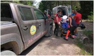 Un bărbat a fost muşcat de o viperă într-o zonă greu accesibilă din Suceava