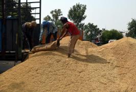 Averile miliardarilor din industria alimentară şi energetică au crescut cu 453 de miliarde de dolari în ultimii doi ani