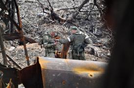 Imagine ilustrativă