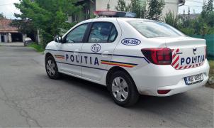 Maşină de poliţie parcată pe o stradă.