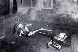 Analizarea ADN-ului unei persoane care a fost descoperită în Pompeii reprezintă o premieră științifică.