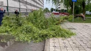 Prefectul Capitalei, despre furtuna din Bucureşti: "Sectorul 6 a fost cel mai afectat. Copacii rupţi au fost toaletaţi, iar acoperişul smuls de vânt a fost îndepărtat"