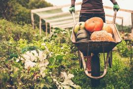 (P) Ce trebuie să știe orice agricultor care își dorește culturi bogate?