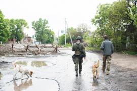 Imagine ilustrativă