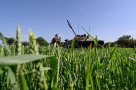 Recolta de cereale din Ucraina