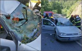 O creangă căzută peste o mașină aflată în mers s-a înfipt într-o șoferiță, în Bihor. Tânăra nu a mai putut ieși din autoturism