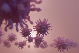 Alertă în Marea Britanie. Virusul poliomielitei, detectat în canalizarea din Londra