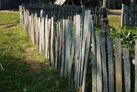 Imagine ilustrativă