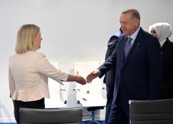 Turcia va susține aderarea Finlandei și Suediei la NATO. Erdogan a dat undă verde, după negocierile din Madrid