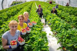 Salariul minim legal în Germania va creşte din octombrie. Decizia ar putea afecta 6,2 milioane de oameni