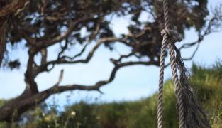 tentativă de sinucidere în Argeș