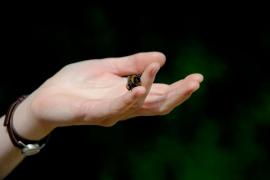 Bondar ţinut într-o mână