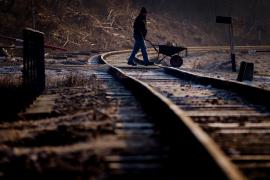 Polonezii, sfătuiţi să adune lemne de foc din cauza preţurilor la energie: "Cu toții vom strânge crengi”