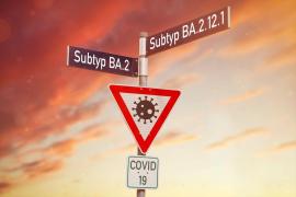 Shanghai anunţă descoperirea unei noi subvariante Omicron