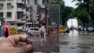 Un tânăr din India face delivery pe cal