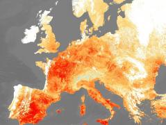 Ruşii au transformat valul de caniculă care a lovit Europa în motiv de propagandă: "Natura e de partea Rusiei"