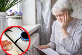 Germania va introduce o nouă taxă în facturile la gaze