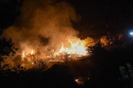 Italia se luptă cu incendiile de vegetaţie
