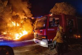 Europa mistuită de flăcări: Peste 1.500 de morţi în Spania şi Portugalia, din cauza temperaturilor extreme, de peste 45°C