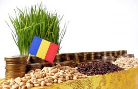 România, între Uruguay şi Irak într-un top al ţărilor în cel mai mare pericol de faliment