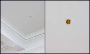 Felie de castravete murat