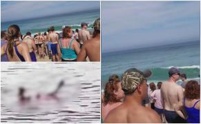 Rechinul ar fi fost văzut în larg cu 15 minute înainte de atac