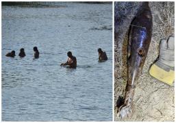 Un bărbat din Bihor, care s-a dus să înoate într-un râu, a dat din greșeală peste o bombă neexplodată