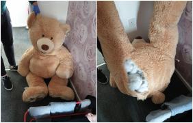 Un hoţ de mașini din Anglia a încercat să se ascundă de poliție în interiorul unui ursuleț de pluș.