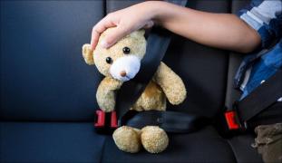 Bărbatul a parcat la umbră și a lăsat geamurile deschise pentru a evita o astfel de tragedie