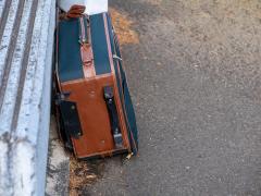 Rămăşiţele găsite în două valize, cumpărate la o licitaţie din Noua Zeelandă, erau ale unor copii. Micuţii  ar fi avut între 5 şi 10 ani