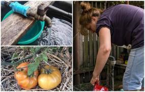 Oamenii plătesc un preţ uriaş, loviţi de secetă şi cu facturi tot mai mari