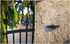 Un bărbat din Vâlcea, care o împodobea pentru o nuntă, a alunecat și s-a înfipt în ţepii de la poartă