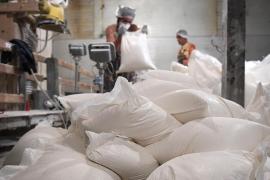 Producătorii de făină și de ulei vor primi un ajutor din partea statului "Ar fi binevenit şi pentru consumatorul final care ar putea să plătească un preţ mai mic"