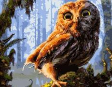 (P)  Pictura pe numere, deopotrivă relaxantă și educativă! Pasiunea pe care nu știai că o ai!