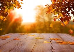 Prognoza meteo pentru 29 august- 26 septembrie. Toamna vine cu temperaturi peste cele normale perioadei