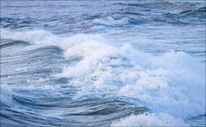 Femeia  fost declarată moartă la fața locului, în ciuda eforturilor paramedicilor de a o salva