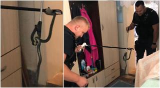 O reșițeancă s-a trezit în casă cu un șarpe de aproape un metru. Reptila era pe etajeră, în baie