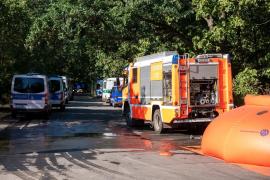 Un copil de 3 ani din Germania a ucis un bărbat în vârstă de 50 de ani. Cum s-a produs cumplita tragedie