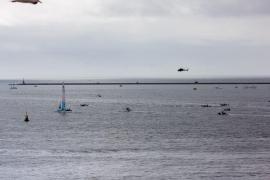 Cinci oameni au murit după ce barca în care se aflau ar fi fost lovită de o balenă, în Noua Zeelandă. Participau la o excursie de observare a păsărilor